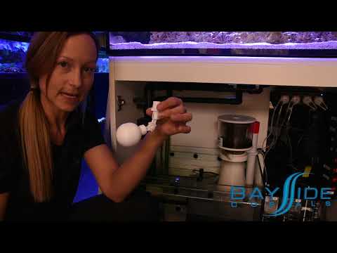 The Red Sea REEFER 250:  ATO Maintenance