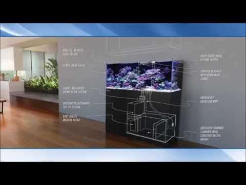 The Red Sea Reefer Aquariums from Complete Aquatics