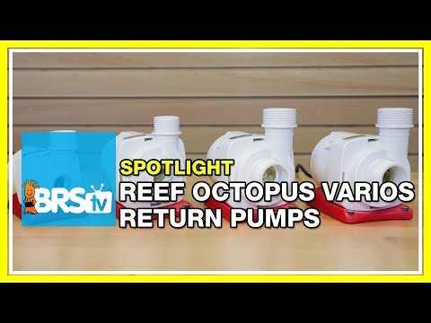 The Reef Octopus VarioS DC powered pump | BRStv Spotlight