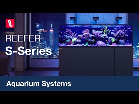The REEFER-S – a whole new dimension