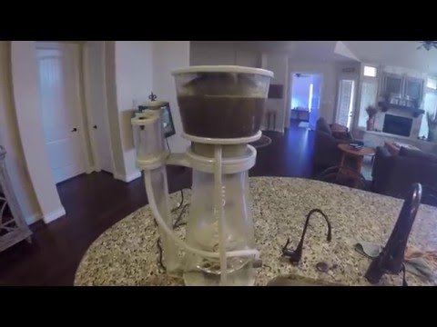 The Reefing Texan – Protein Skimmer Problems – NYOS Quantum / Reef Octopus Regal 250sss