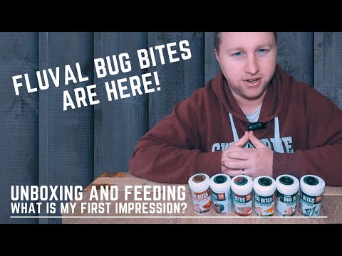 They're Here! – Unboxing and Testing Australia's First Batch of Fluval Bug Bites Flakes