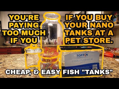 Thinking Outside the Fish Bowl! – My Tips and Tricks for Getting Cheap & Creative Aquariums & Tank