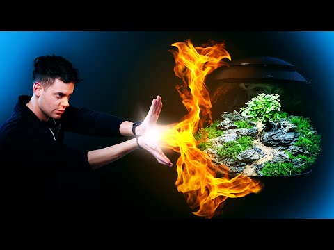 This OASE biOrb Air is so HOT | Bonsai Terrarium