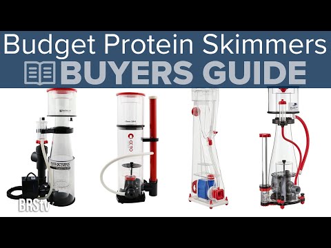 Thomas' Top Protein Skimmers Under $300 and up to 75 Gallons of Reef Tank!