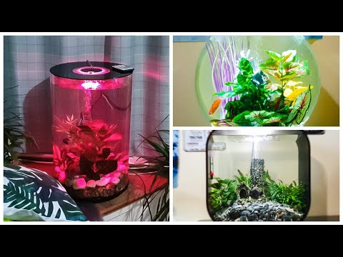 Three Beautiful Biorb Aquariums