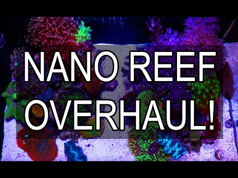 Tia Crazy ? Fluval Evo 13.5 Nano Reef Big Changes!
