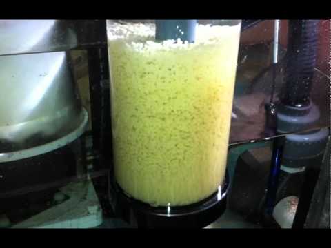 TLF 150 vs. Reef  Octopus Hang On Bio Pellet Reactor OCT-BRH90