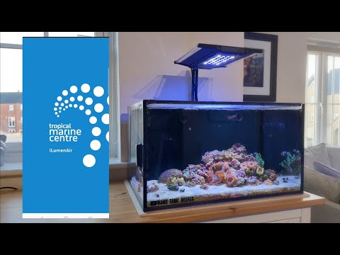 TMC iLumenAir 600+ Overview and Setup – Reef Tank Lighting