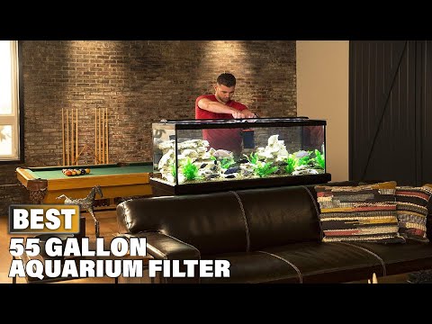 Top 10 Best Filter for 55 Gallon Aquarium On Amazon