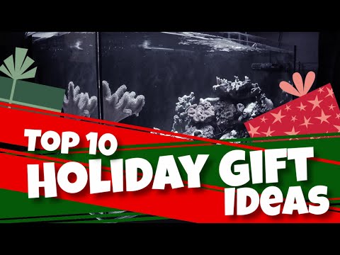 Top 10 Must Have Gift Ideas for Reef Tank Hobbyist