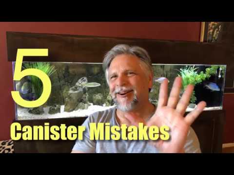 Top 5 Common Canister Filter Mistakes – These Kill Performance (and Cause Floods!)