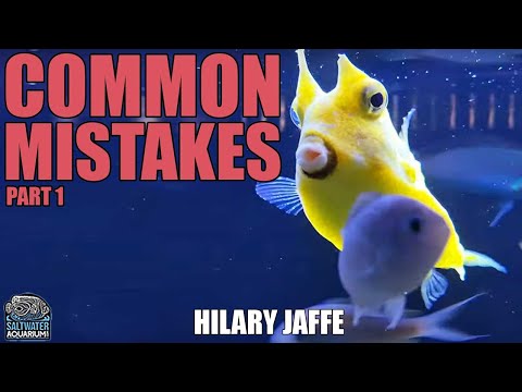 TOP Common MISTAKES Aquarists Make – Part One – Hilary Jaffe