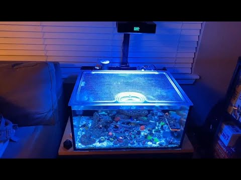 Top Lids Client Showcase = David Josue Innovative Marine 25 Lagoon…"Lids In Space"