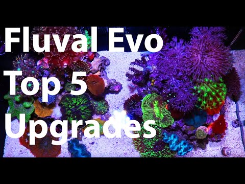 Top Upgrades For Fluval Evo 13.5 Nano Reef Tank