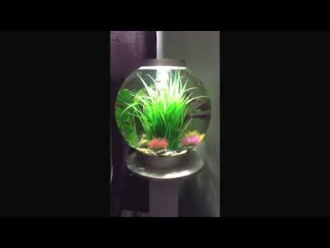 Tropical biorb 30