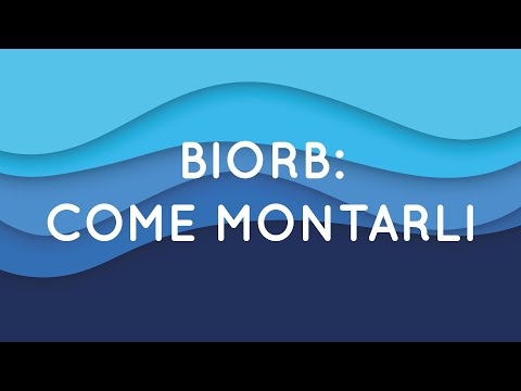 Tutorial di acquariologia: l'acquario Biorb