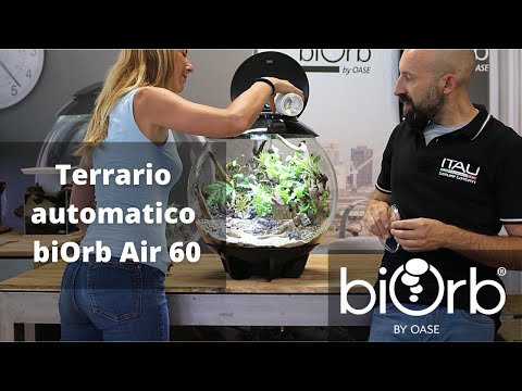 TUTORIAL – Terrario automatico Air 60 con Samuele Gamberini – BiOrb by Oase