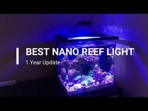 Ultimate CHEAP Reef Light (LPS & SPS) – 1 Year Update