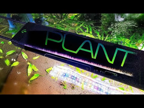 Ultimate Guide to the Fluval Plant 3.0 LED Aquarium Light – Part 1