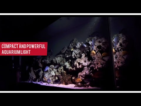 Ultra Powerful Aquarium Spotlight Fluval Prism 2.0 LED