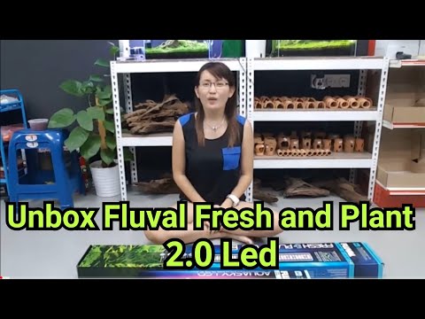 Unbox Fluval Fresh and Plant 2.0 LED