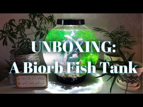 Unboxing A Biorb Fish Tank