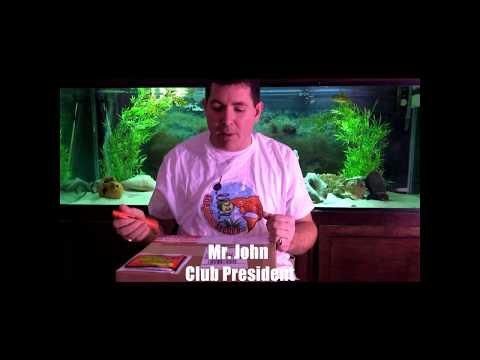 Unboxing a Package from Kessil