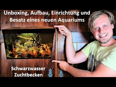 Unboxing Aquael Leddy 40 – Aufbau, Einrichtung und Besatz