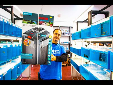 UNBOXING EHEIM PROFESSIONAL 4+ 600 – PORTUGUES