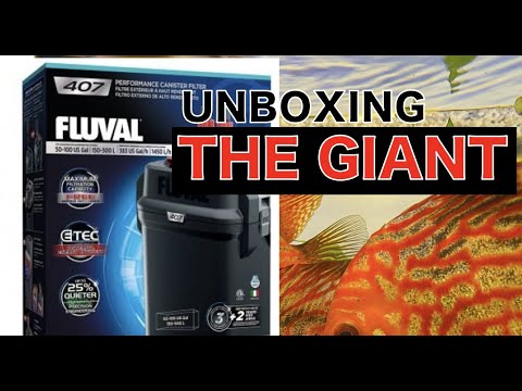 Unboxing: Fluval 407 Performance Canister Filter