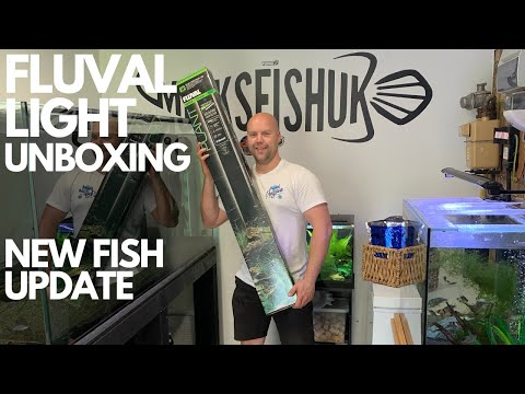 UNBOXING FLUVAL PLANT LIGHT PLUS (NEW FISH UPDATE) micksfishuk