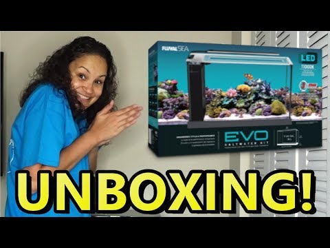 UNBOXING: Fluval Sea Evo Saltwater Kit 5 Gallon Aquarium | BLUE DAMSEL