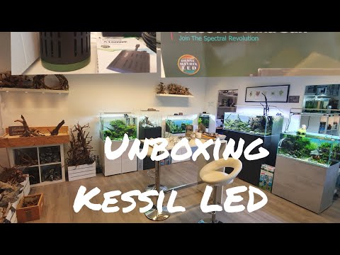 Unboxing Kessil LED