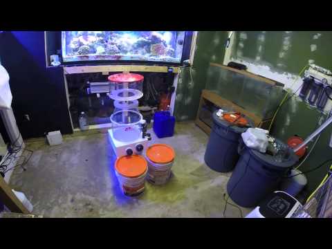 Unboxing Reef Octopus Regal 300EXT Skimmer