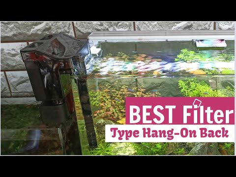 Unboxing, Review, dan Test Fluval Hang On Back Filter | Fitur dan Kualitas Berbicara