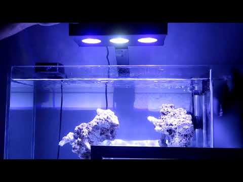 Unboxing Spectra Aquaknight Reef Light | Nano Reef Tank | Saltwater Tank | Unboxing & Setting up