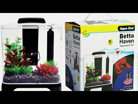Unboxing the Aqua One 'Pico' 5L Betta haven | Scaping and Stocking!