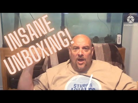 Unreal, Insane Unboxing that you gotta see to believe. So many Aquarium Products.  Honest Reviews