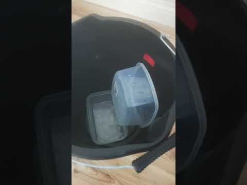 Update on Bubble Magus Z series skimmer.