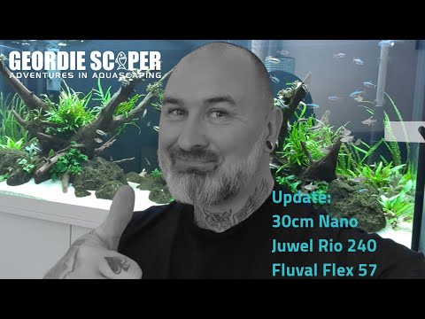 UPDATE ON MY 3 AQUARIUMS…JUWEL RIO 240, FLUVAL FLEX 57 & 30CM NANO 2020