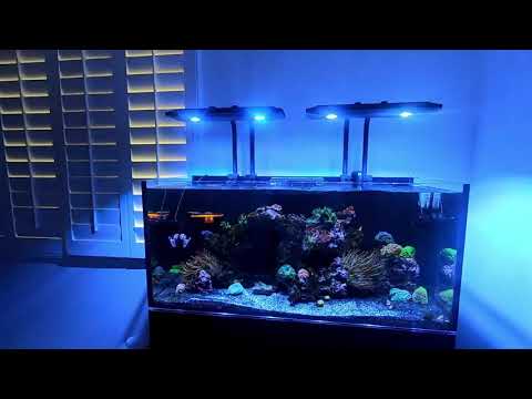 Upgraded to a Red Sea Reefer 350! Only 1 issue I have with it…