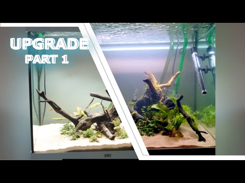 UPGRADING MY TANK | PART 1 | JUWEL LIDO 120
