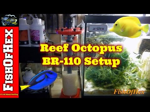 Upgrading To A Reef Octopus BR-110 Biopellet Reactor