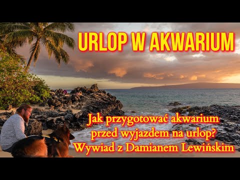 Urlop w Akwarium. Jak przygotować akwarium przed wyjazdem na urlop? Wywiad z Damianem Lewińskim