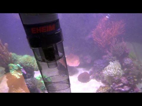 User Review: EHEIM Quick Vac Pro – Vaccum your sand bed?