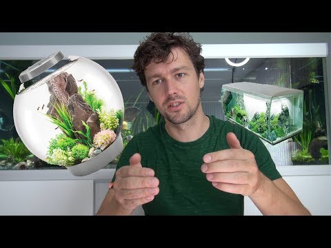 Van Biorb tot Fluval en Juwel, Akvastabil aquariums  Welke aquarium is het beste om te beginnen! #18