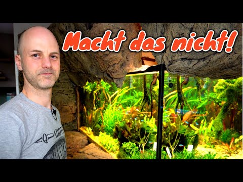 Vermeide diese drei Fehler bei deinem Aquarium