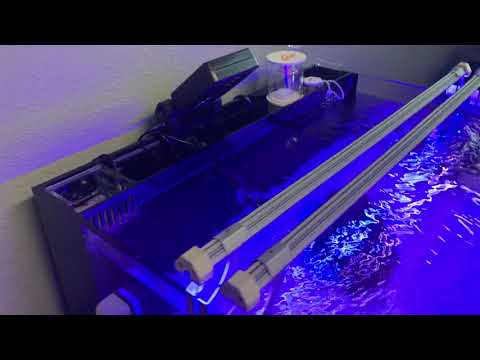 Video 2 – Innovative Marine Lagoon 25