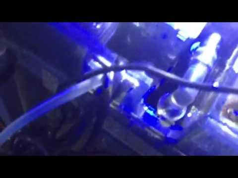 Video 2 testing out the aqua one nano 36